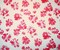 Red-Ivory Poly Floral Printed Crinkle Yoryu Chiffon Woven Fabric By the Yard